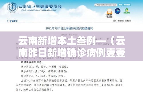 云南新增本土叁例—（云南昨日新增确诊病例壹壹例）