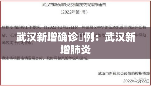 武汉新增确诊無例：武汉新增肺炎