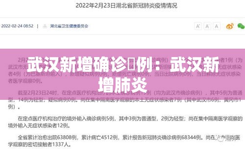 武汉新增确诊無例：武汉新增肺炎
