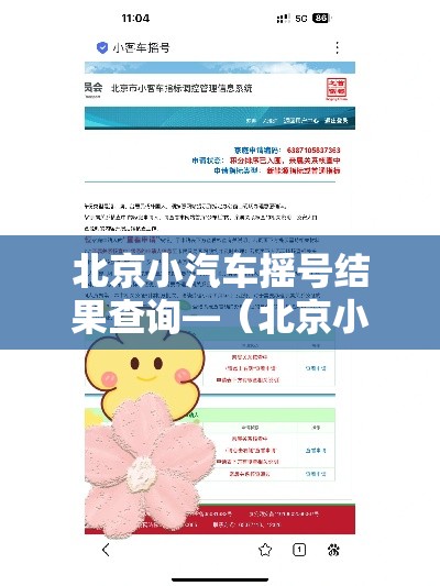 北京小汽车摇号结果查询—（北京小汽车摇号结果查询官网）