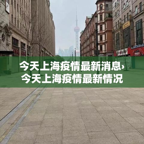 今天上海疫情最新消息›今天上海疫情最新情况 今天上海疫情最新消息›今天上海疫情最新情况