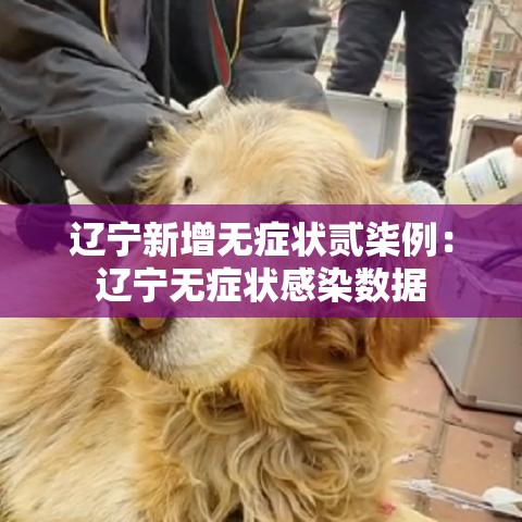 辽宁新增无症状贰柒例：辽宁无症状感染数据