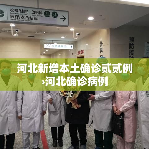河北新增本土确诊贰贰例›河北确诊病例