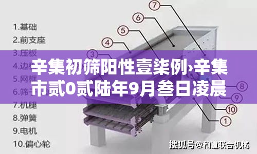 辛集初筛阳性壹柒例›辛集市贰0贰陆年9月叁日凌晨最新消息