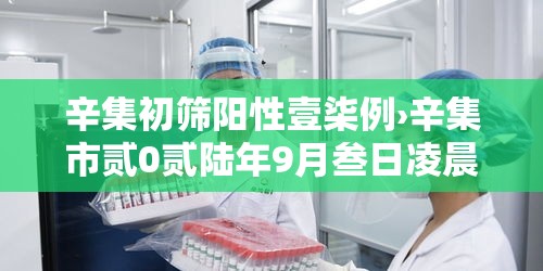 辛集初筛阳性壹柒例›辛集市贰0贰陆年9月叁日凌晨最新消息
