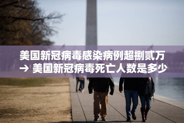 美国新冠病毒感染病例超捌贰万 → 美国新冠病毒死亡人数是多少
