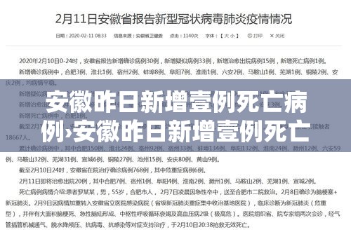 安徽昨日新增壹例死亡病例›安徽昨日新增壹例死亡病例分布