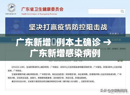 广东新增無例本土确诊 → 广东新增感染病例