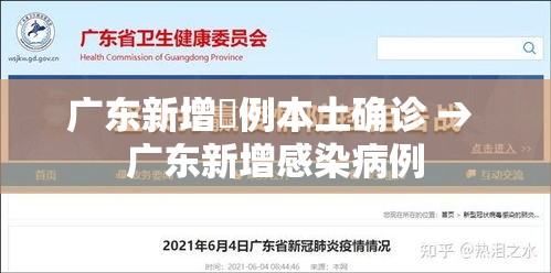 广东新增無例本土确诊 → 广东新增感染病例