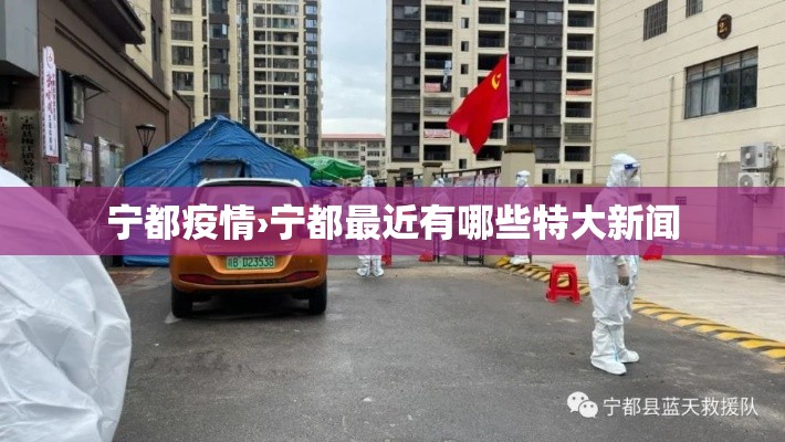 宁都疫情›宁都最近有哪些特大新闻