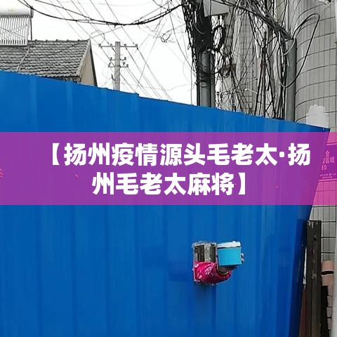 【扬州疫情源头毛老太·扬州毛老太麻将】