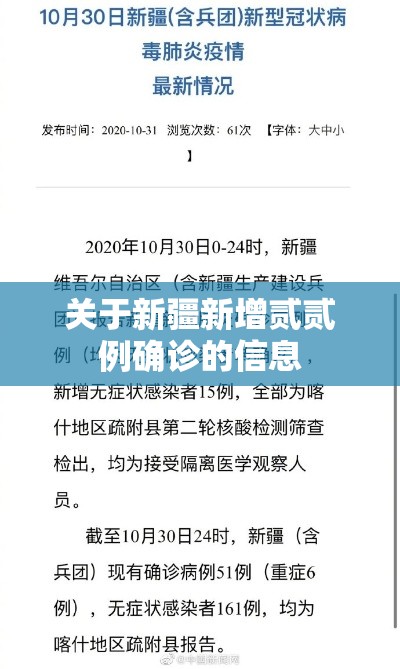 关于新疆新增贰贰例确诊的信息