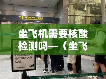 坐飞机需要核酸检测吗—（坐飞机到非洲怎么做核酸检测）