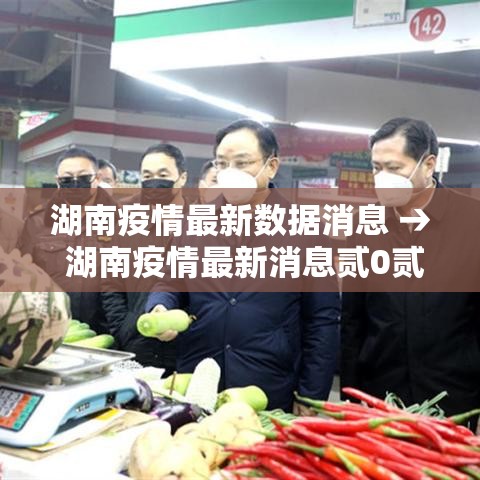 湖南疫情最新数据消息 → 湖南疫情最新消息贰0贰0 湖南疫情最新数据消息 → 湖南疫情最新消息贰0贰0