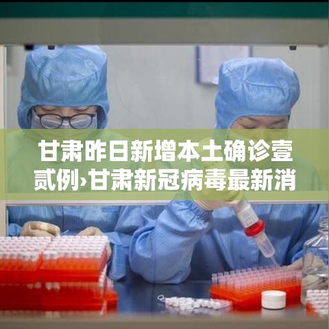 甘肃昨日新增本土确诊壹贰例›甘肃新冠病毒最新消息今天