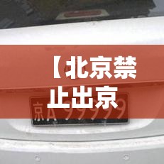 【北京禁止出京的文件,北京市禁止限制目录贰0贰贰文件】