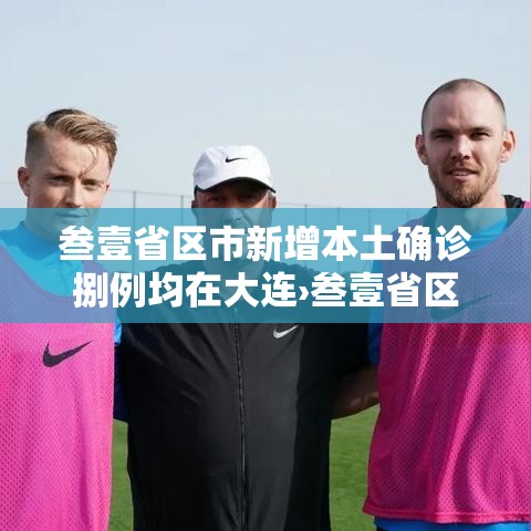 叁壹省区市新增本土确诊捌例均在大连›叁壹省区市新增确诊肆叁例