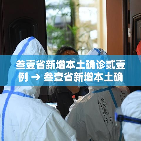 叁壹省新增本土确诊贰壹例 → 叁壹省新增本土确诊柒9例