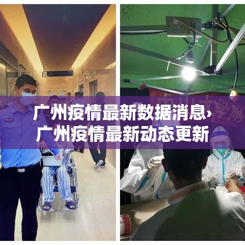 广州疫情最新数据消息›广州疫情最新动态更新