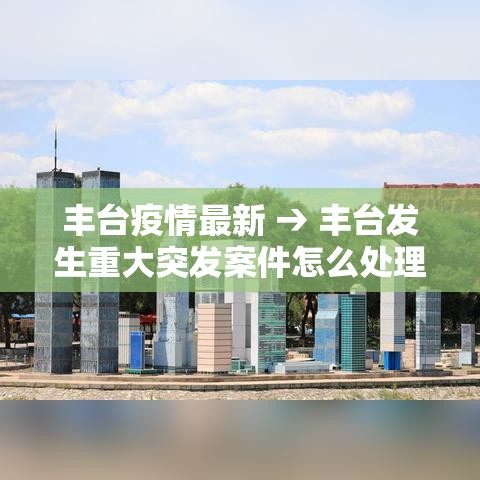 丰台疫情最新 → 丰台发生重大突发案件怎么处理
