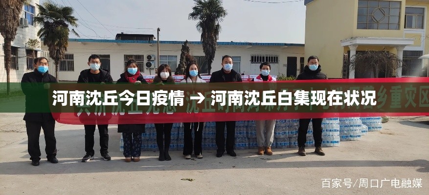 河南沈丘今日疫情 → 河南沈丘白集现在状况