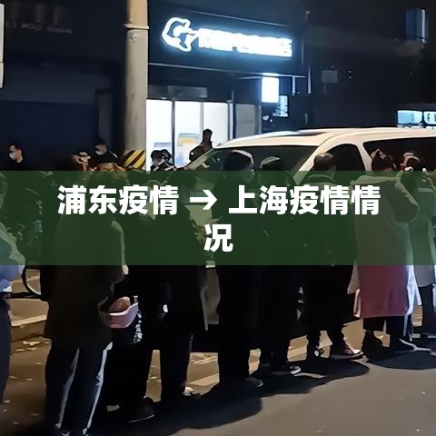浦东疫情 → 上海疫情情况