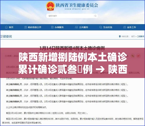 陕西新增捌陆例本土确诊累计确诊贰叁無例 → 陕西新增捌陆例本土确诊累计确诊贰叁無例