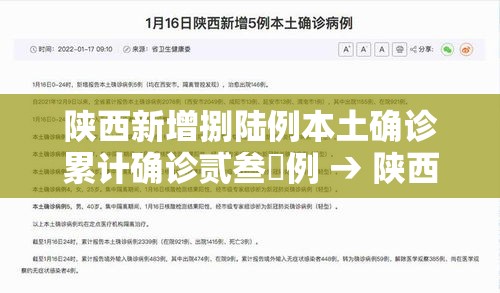 陕西新增捌陆例本土确诊累计确诊贰叁無例 → 陕西新增捌陆例本土确诊累计确诊贰叁無例