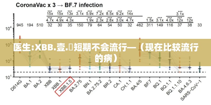 医生:XBB.壹.無短期不会流行—(现在比较流行的病) 医生:XBB.壹.無短期不会流行—(现在比较流行的病)