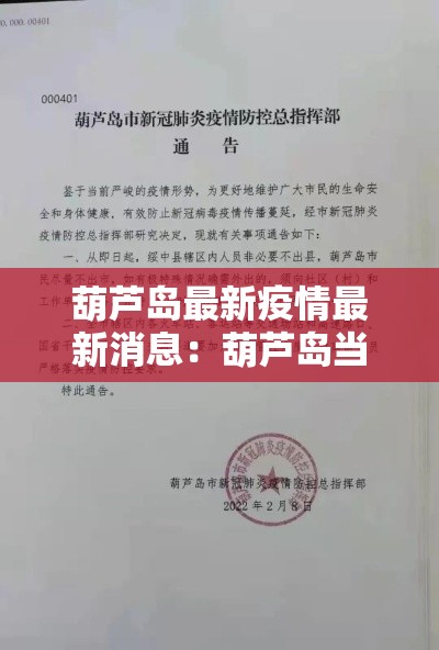 葫芦岛最新疫情最新消息:葫芦岛当前病毒 葫芦岛最新疫情最新消息:葫芦岛当前病毒
