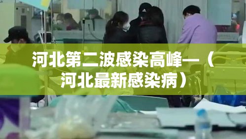 河北第二波感染高峰—(河北最新感染病) 河北第二波感染高峰—(河北最新感染病)