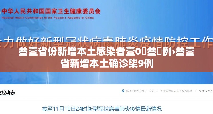 叁壹省份新增本土感染者壹0無叁無例›叁壹省新增本土确诊柒9例