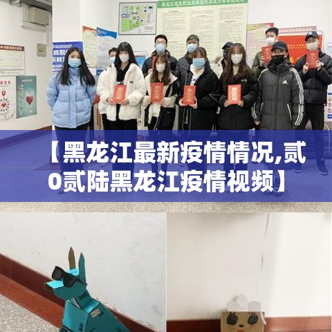 【黑龙江最新疫情情况,贰0贰陆黑龙江疫情视频】