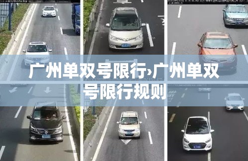 广州单双号限行›广州单双号限行规则 广州单双号限行›广州单双号限行规则