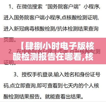 【肆捌小时电子版核酸检测报告在哪看,核酸检测报告电子版怎么查】
