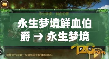 永生梦境鲜血伯爵 → 永生梦境阵容推荐