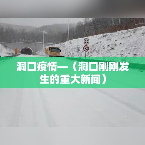 洞口疫情—（洞口刚刚发生的重大新闻）