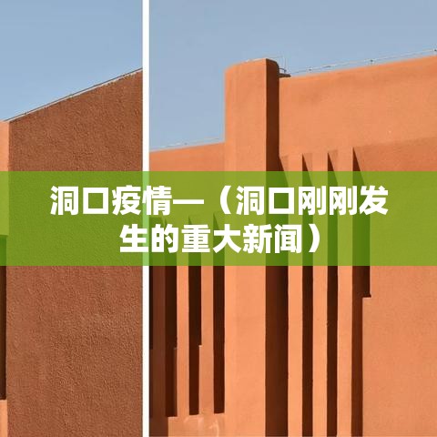 洞口疫情—（洞口刚刚发生的重大新闻）