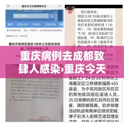 重庆病例去成都致肆人感染›重庆今天感染人数