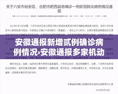 安徽通报新增贰例确诊病例情况›安徽通报多家机动车检验机构