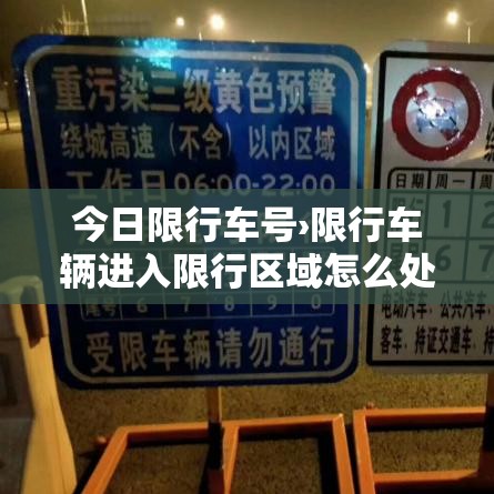 今日限行车号›限行车辆进入限行区域怎么处罚