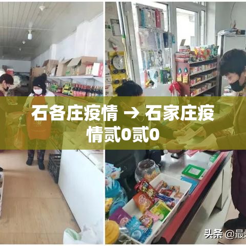 石各庄疫情 → 石家庄疫情贰0贰0