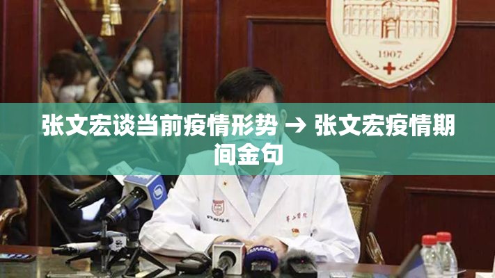 张文宏谈当前疫情形势 → 张文宏疫情期间金句