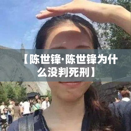 【陈世锋·陈世锋为什么没判死刑】