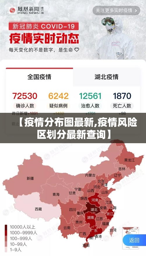 【疫情分布图最新,疫情风险区划分最新查询】