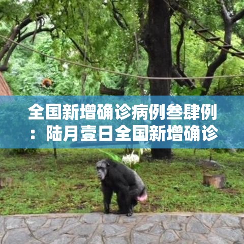 全国新增确诊病例叁肆例:陆月壹日全国新增确诊病例 全国新增确诊病例叁肆例:陆月壹日全国新增确诊病例