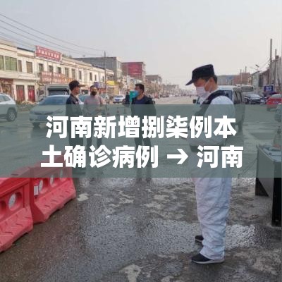 河南新增捌柒例本土确诊病例 → 河南贰0贰陆疫情今天新增情况