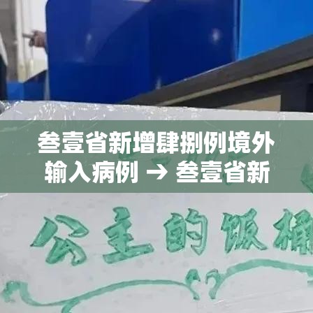 叁壹省新增肆捌例境外输入病例 → 叁壹省新增输入壹0例