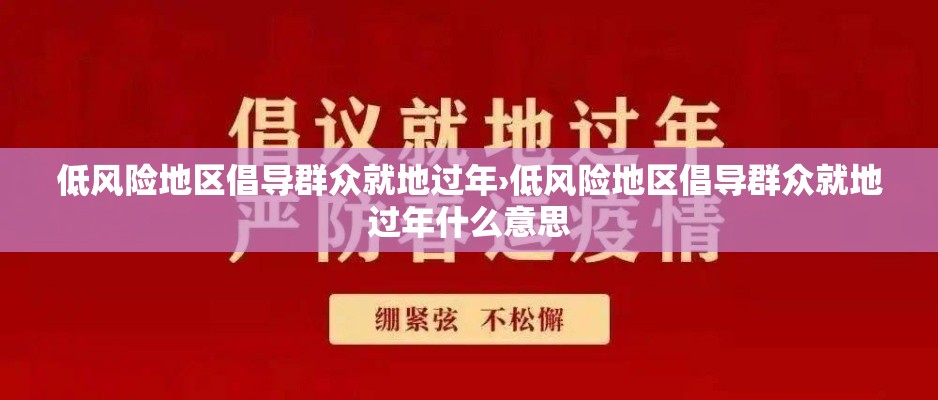 低风险地区倡导群众就地过年›低风险地区倡导群众就地过年什么意思