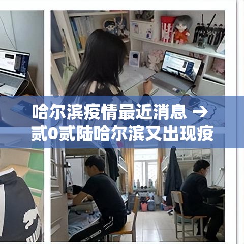 哈尔滨疫情最近消息 → 贰0贰陆哈尔滨又出现疫情了吗今天